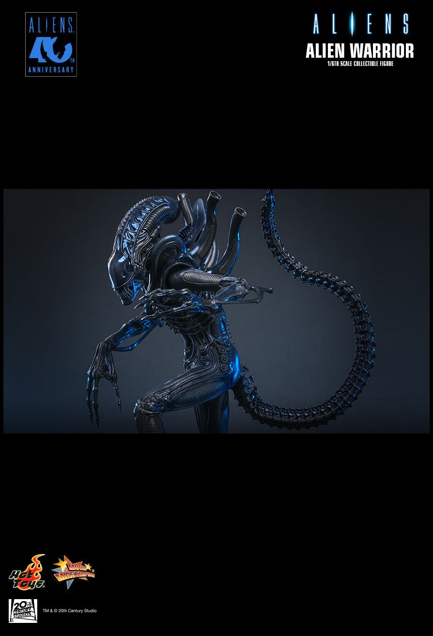 SPECIAL ORDER Hot Toys - Movie Masterpiece - Aliens - Alien Warrior: 2.0 Edition 1/6 [JP]