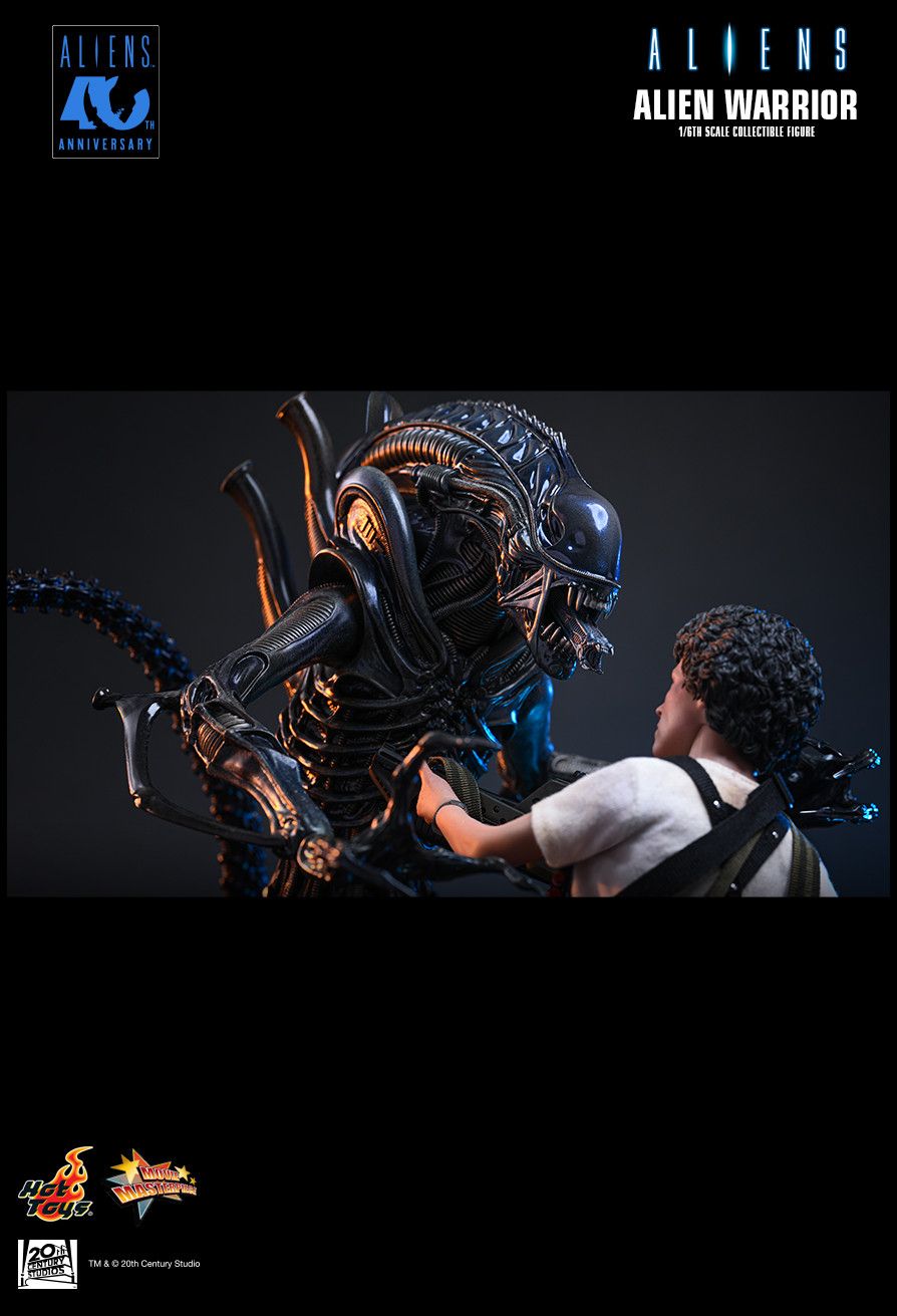 SPECIAL ORDER Hot Toys - Movie Masterpiece - Aliens - Alien Warrior: 2.0 Edition 1/6 [JP]
