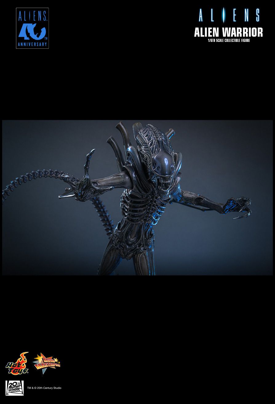 SPECIAL ORDER Hot Toys - Movie Masterpiece - Aliens - Alien Warrior: 2.0 Edition 1/6 [JP]