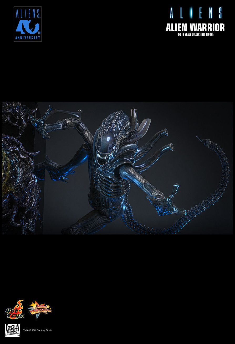 SPECIAL ORDER Hot Toys - Movie Masterpiece - Aliens - Alien Warrior: 2.0 Edition 1/6 [JP]