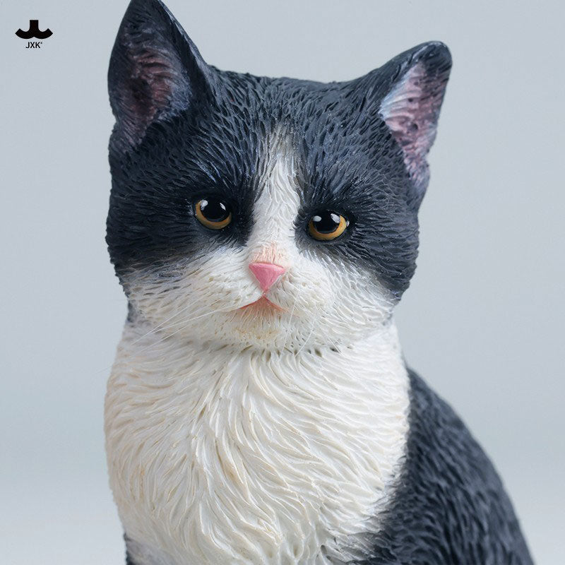 PRE-ORDER JXK Studio - Well-Behaved Cat Sitting A