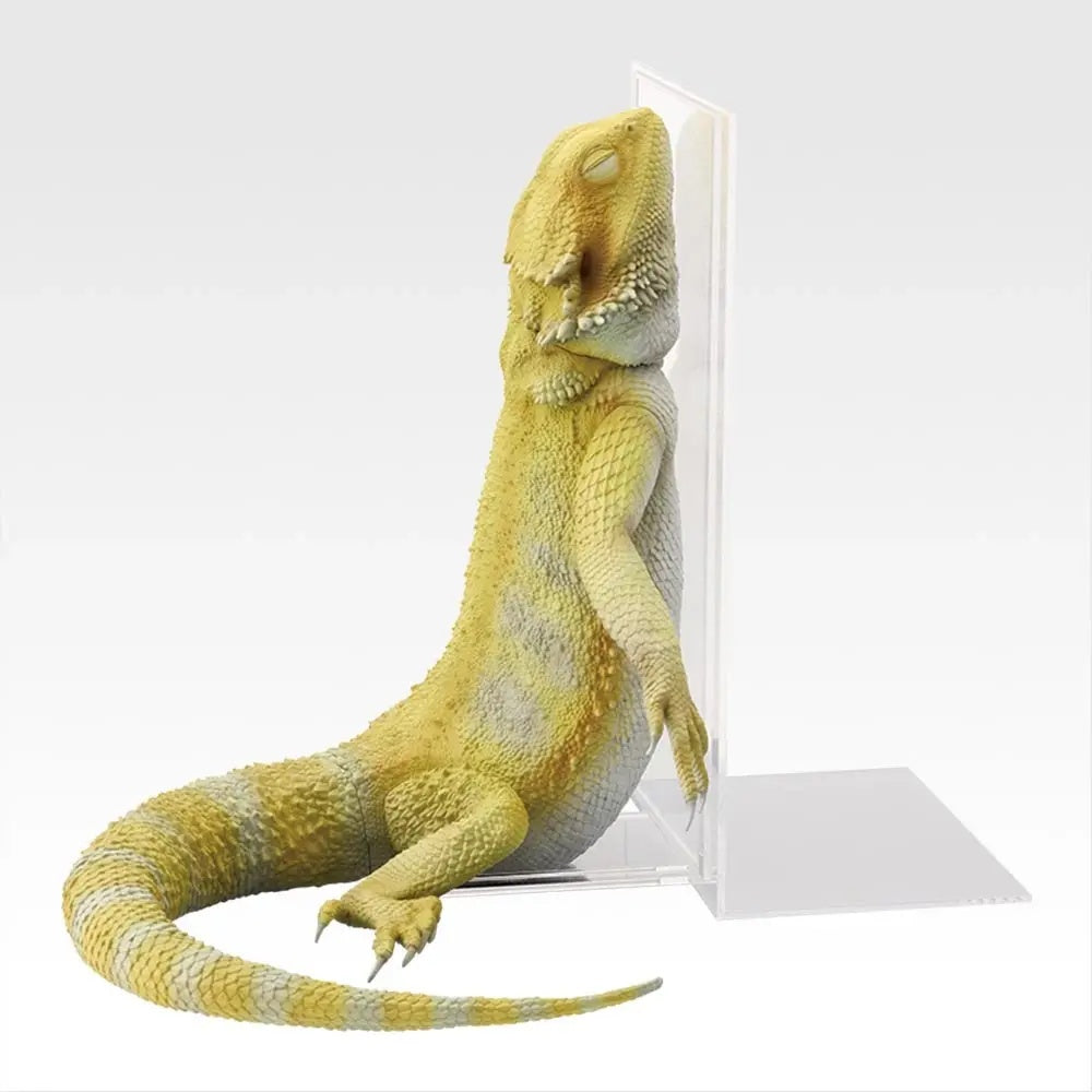 BACK ORDER Bandai Spirits - Ichiban Kuji - Reptiles & Amphibians Tiny Friends Vol. 3 - GRADE A - Bearded Dragon Sleeping Book Stand [JP]