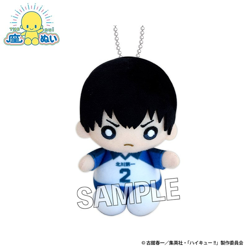SPECIAL ORDER PROOF - Haikyu!! Sitting Plushie - Tobio Kageyama: Junior High Ver. [JP]