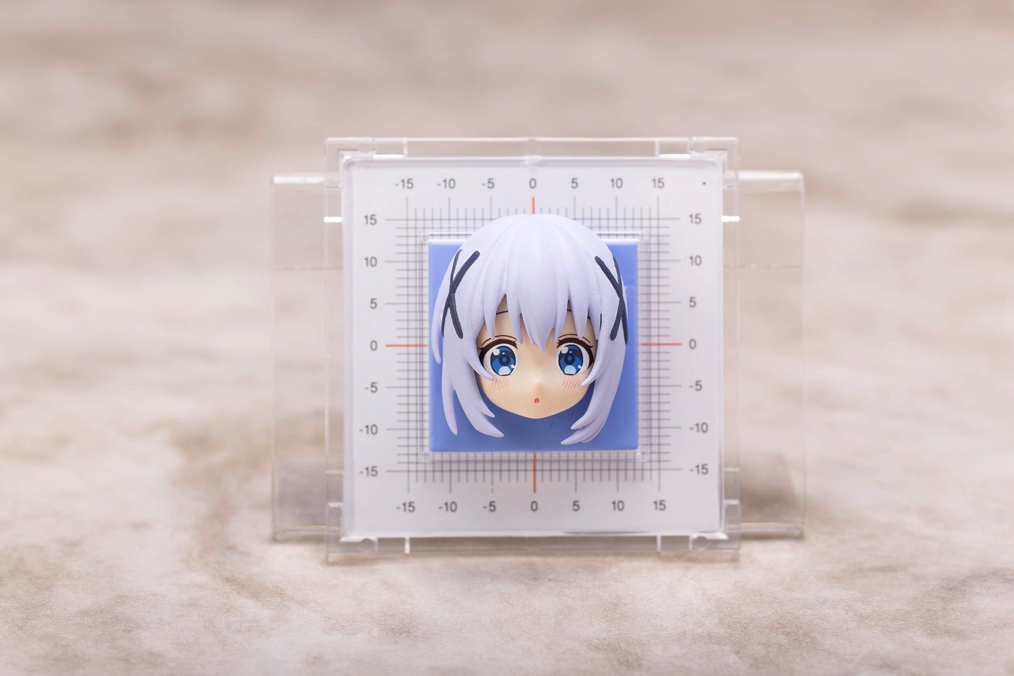 SPECIAL ORDER Plum - Plafia - Is the order a rabbit? BLOOM - Chino Kafu [JP]