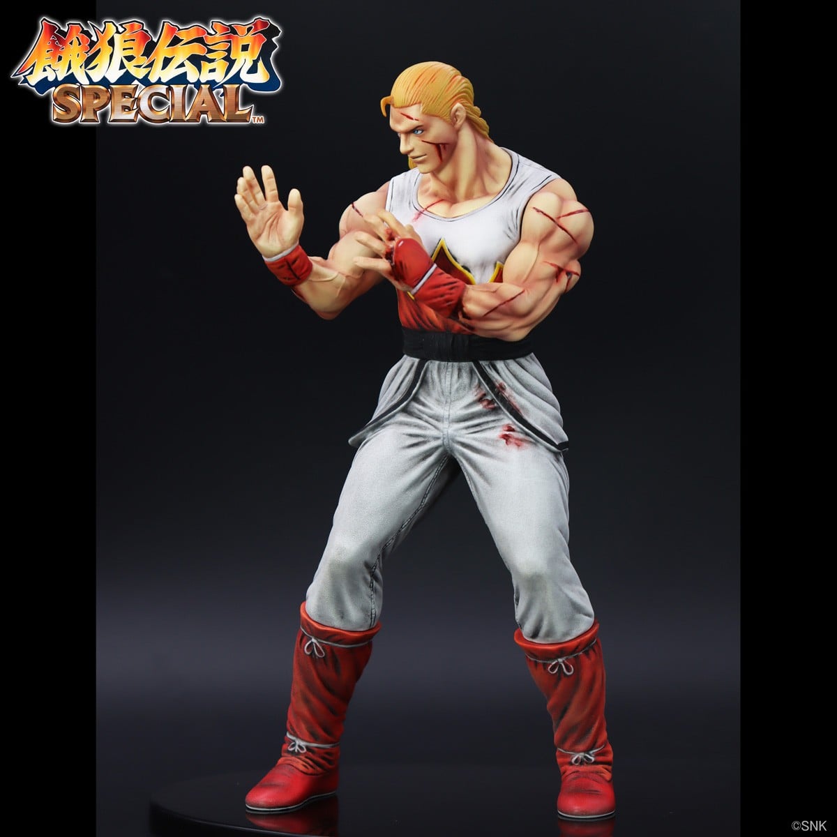 SPECIAL ORDER STUDIO24 - THE KING OF COLLECTORS`24 No. 1 - Fatal Fury - Andy Bogard: HG Damaged Ver. [JP]