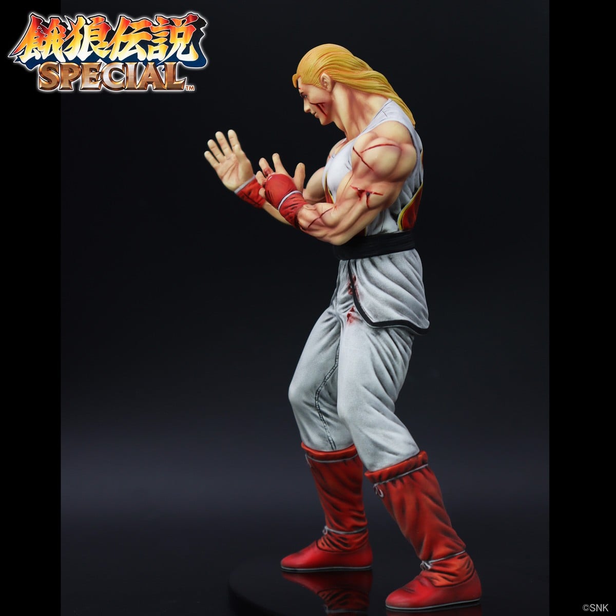 SPECIAL ORDER STUDIO24 - THE KING OF COLLECTORS`24 No. 1 - Fatal Fury - Andy Bogard: HG Damaged Ver. [JP]