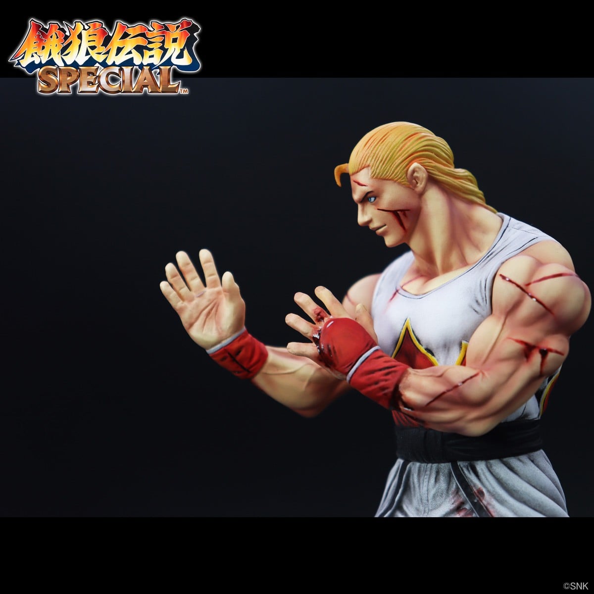 SPECIAL ORDER STUDIO24 - THE KING OF COLLECTORS`24 No. 1 - Fatal Fury - Andy Bogard: HG Damaged Ver. [JP]