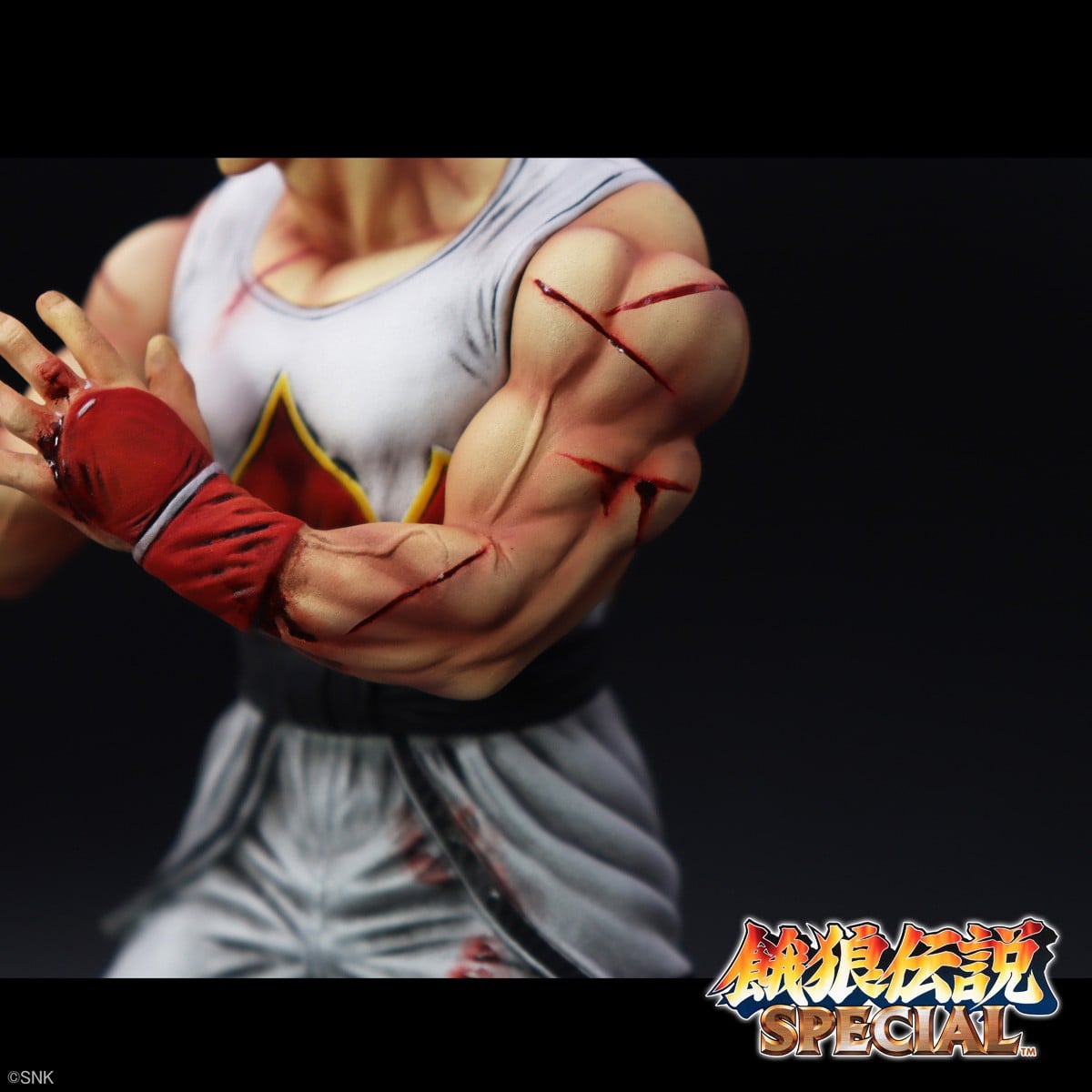 SPECIAL ORDER STUDIO24 - THE KING OF COLLECTORS`24 No. 1 - Fatal Fury - Andy Bogard: HG Damaged Ver. [JP]