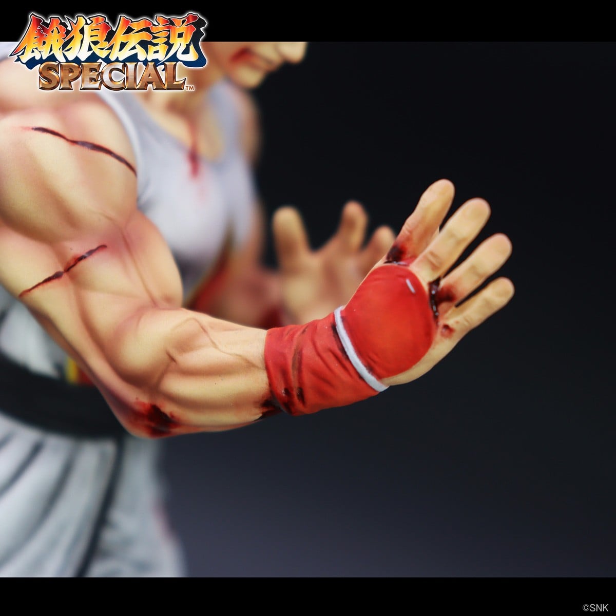SPECIAL ORDER STUDIO24 - THE KING OF COLLECTORS`24 No. 1 - Fatal Fury - Andy Bogard: HG Damaged Ver. [JP]
