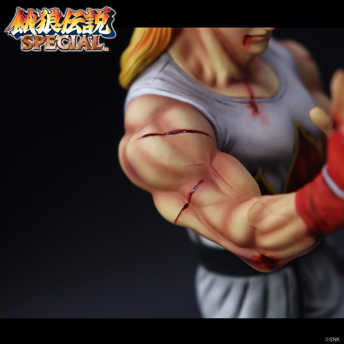 SPECIAL ORDER STUDIO24 - THE KING OF COLLECTORS`24 No. 1 - Fatal Fury - Andy Bogard: HG Damaged Ver. [JP]