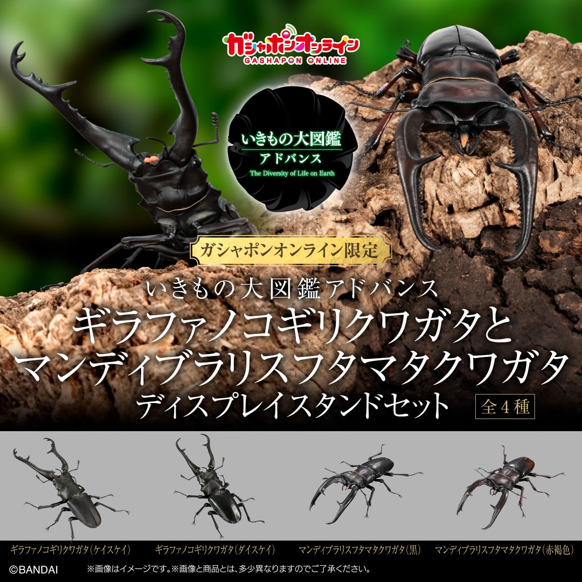IN-STOCK Bandai - The Diversity of Life on Earth - Giraffe Stag Beetle and Mandibular Stag Beetle Display Stand Set [Box of 4]