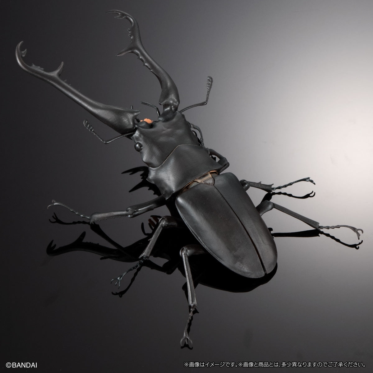 IN-STOCK Bandai - The Diversity of Life on Earth - Giraffe Stag Beetle and Mandibular Stag Beetle Display Stand Set [Box of 4]