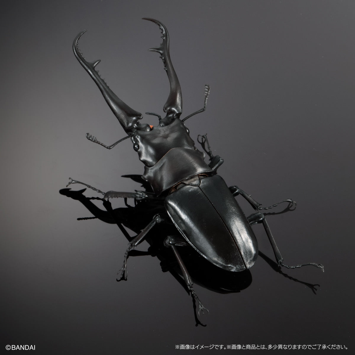 IN-STOCK Bandai - The Diversity of Life on Earth - Giraffe Stag Beetle and Mandibular Stag Beetle Display Stand Set [Box of 4]