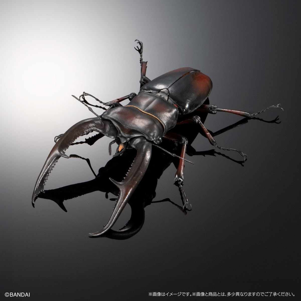 IN-STOCK Bandai - The Diversity of Life on Earth - Giraffe Stag Beetle and Mandibular Stag Beetle Display Stand Set [Box of 4]