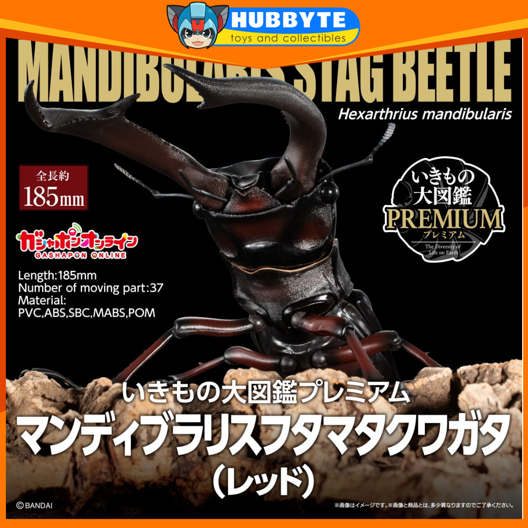 IN-STOCK Bandai - The Diversity of Life on Earth PREMIUM - Mandibularis Stag Beetle (Hexarthrius mandibularis) (Red) [Gashapon Online Exclusive]