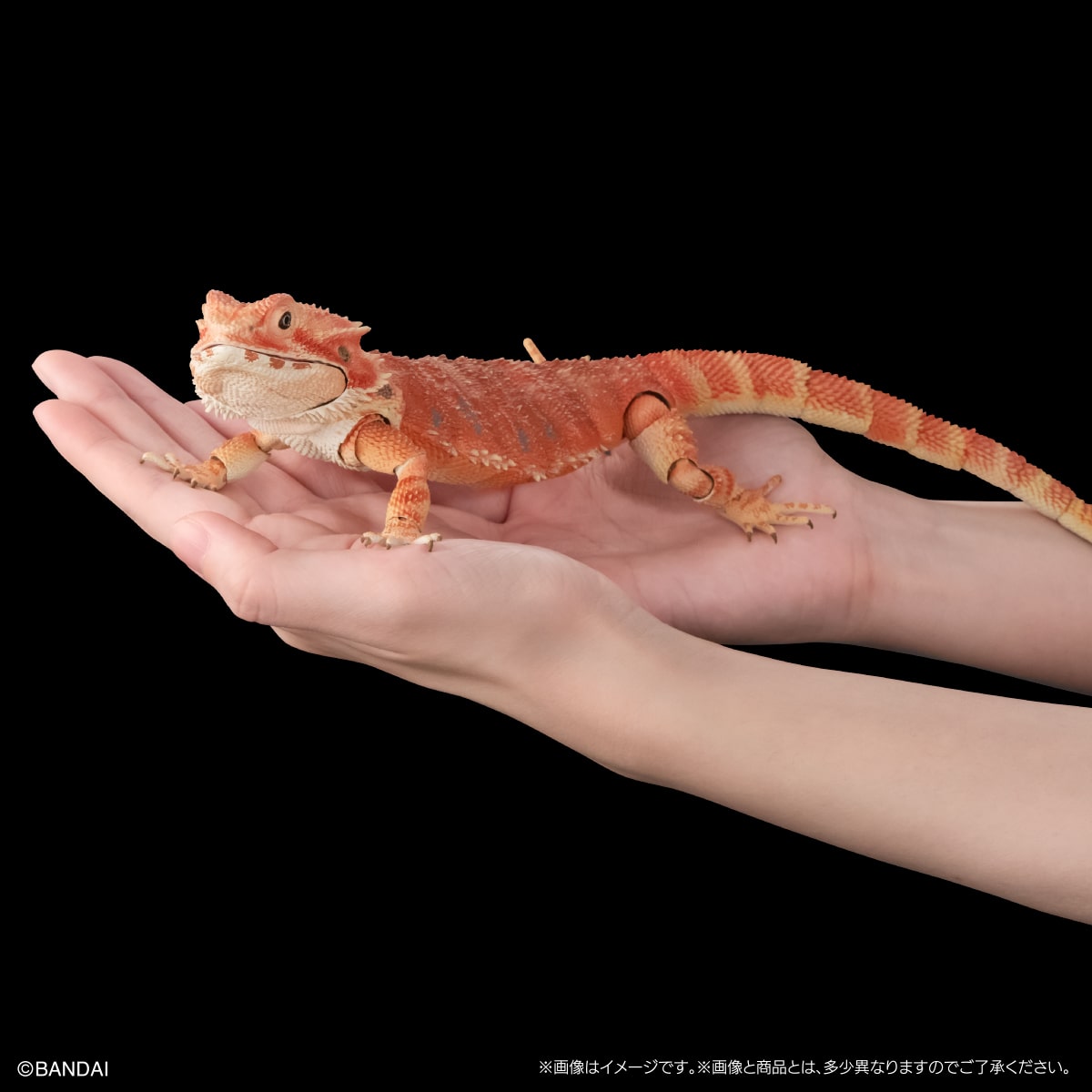 IN-STOCK Bandai Gashapon Online - The Diversity of Life on Earth - Bearded Dragon (Red) [EXCLUSIVE]