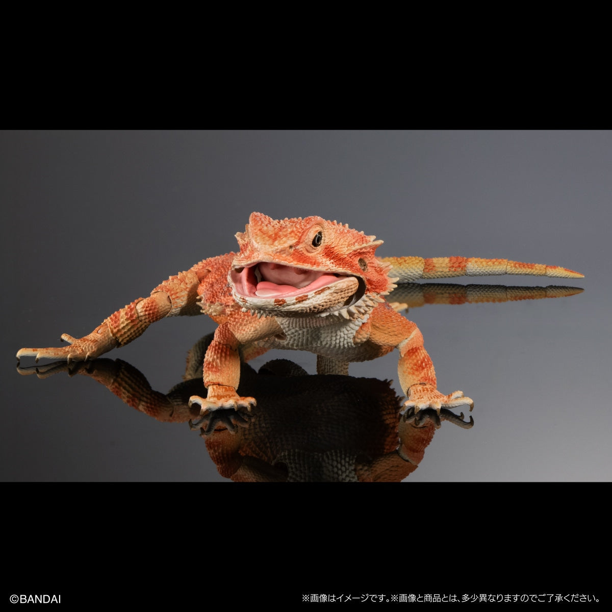 IN-STOCK Bandai Gashapon Online - The Diversity of Life on Earth - Bearded Dragon (Red) [EXCLUSIVE]