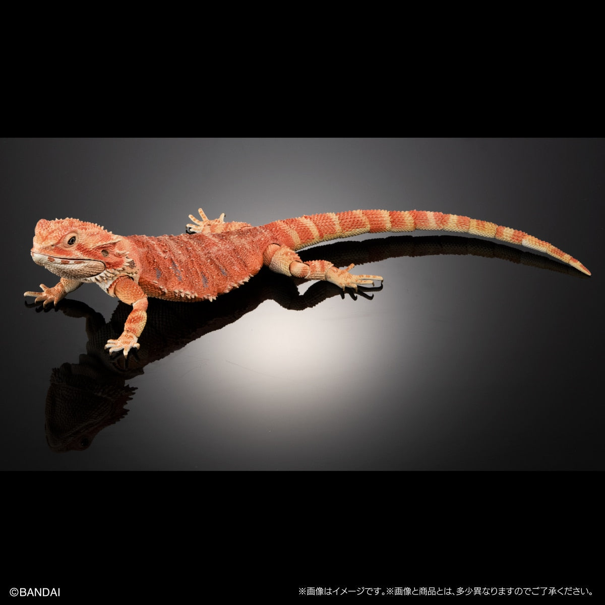 IN-STOCK Bandai Gashapon Online - The Diversity of Life on Earth - Bearded Dragon (Red) [EXCLUSIVE]