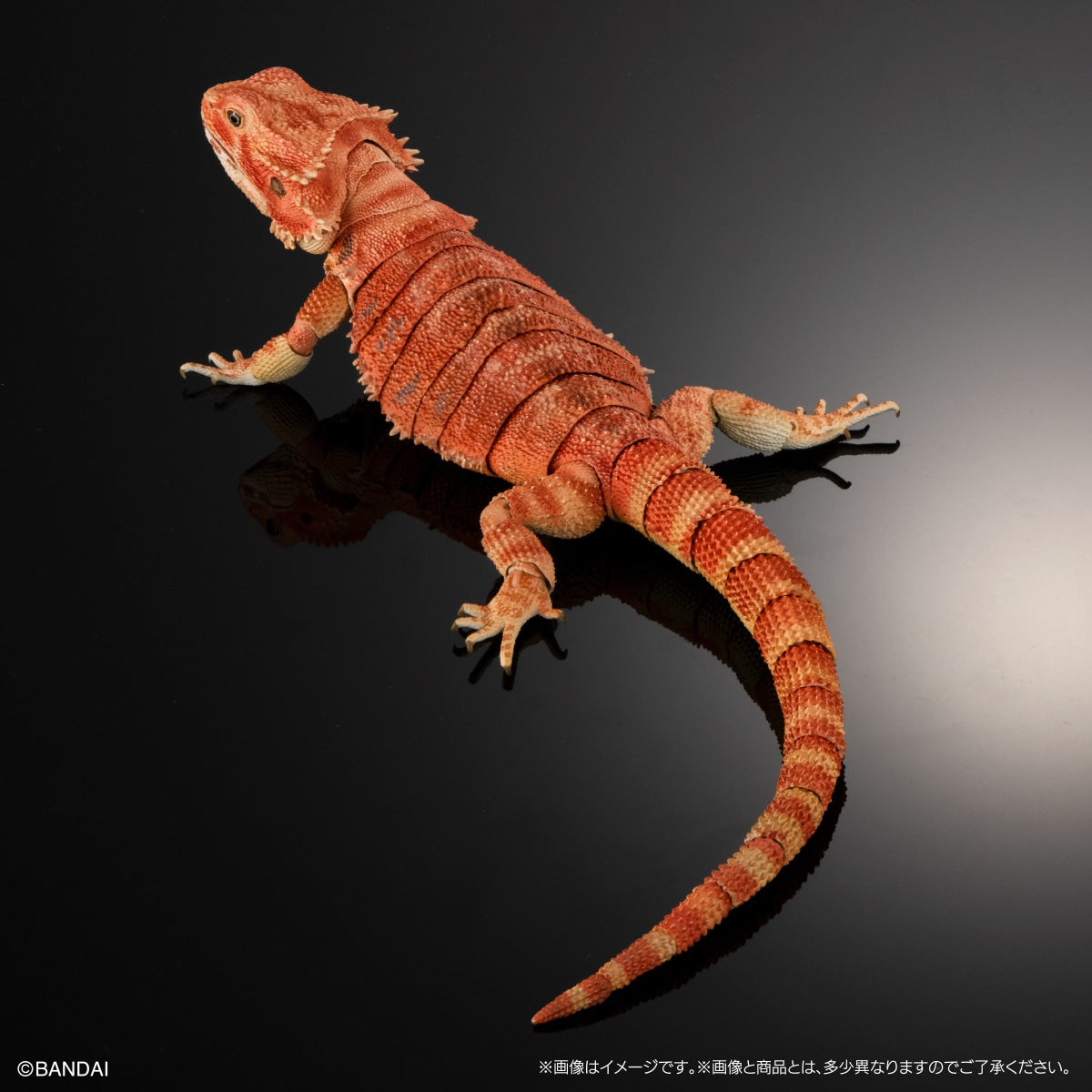IN-STOCK Bandai Gashapon Online - The Diversity of Life on Earth - Bearded Dragon (Red) [EXCLUSIVE]
