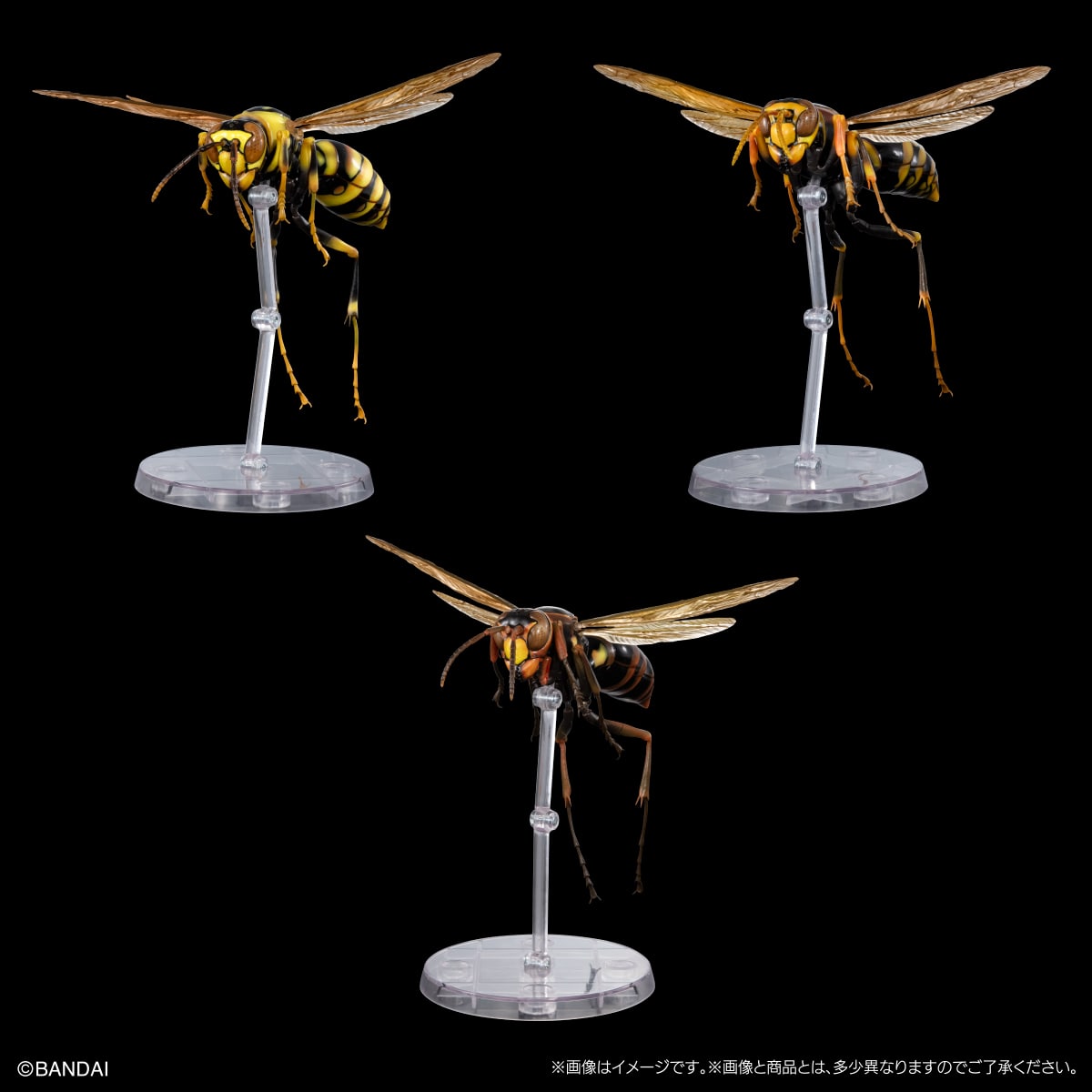 PRE-ORDER Bandai - The Diversity of Life on Earth Advance - POLISTINAE (Paper Wasp) Display Stand Set [EXCLUSIVE]