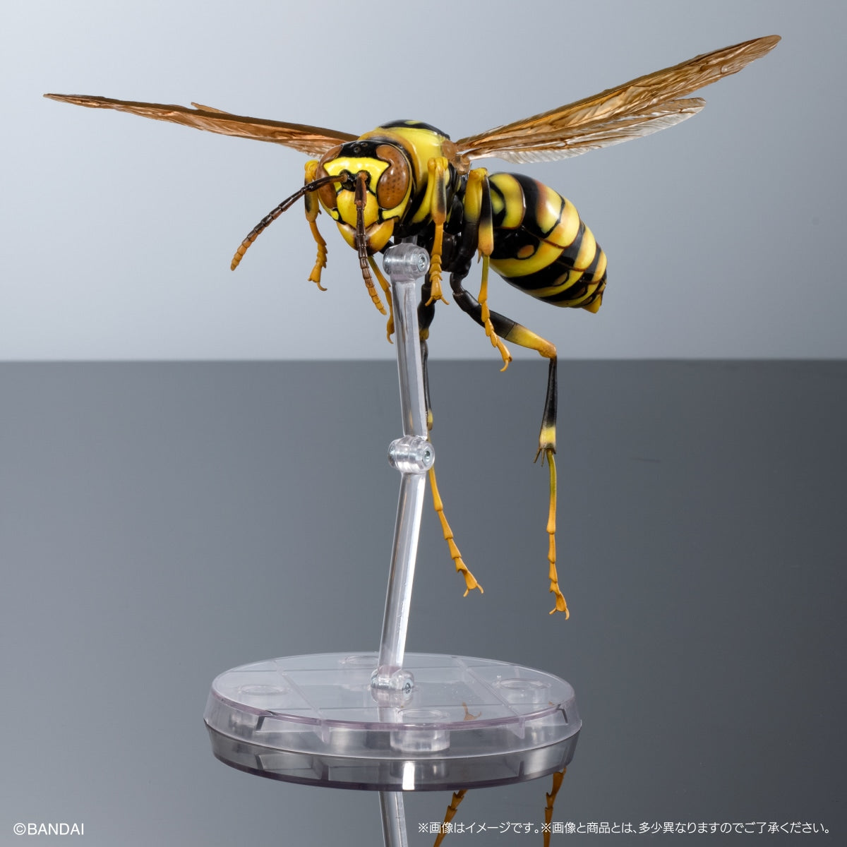 PRE-ORDER Bandai - The Diversity of Life on Earth Advance - POLISTINAE (Paper Wasp) Display Stand Set [EXCLUSIVE]