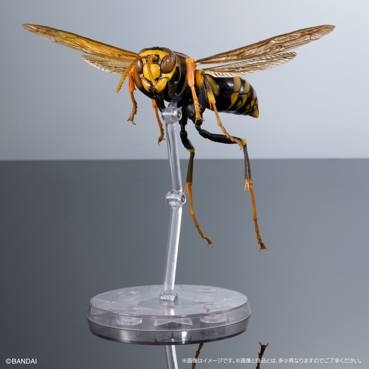 PRE-ORDER Bandai - The Diversity of Life on Earth Advance - POLISTINAE (Paper Wasp) Display Stand Set [EXCLUSIVE]
