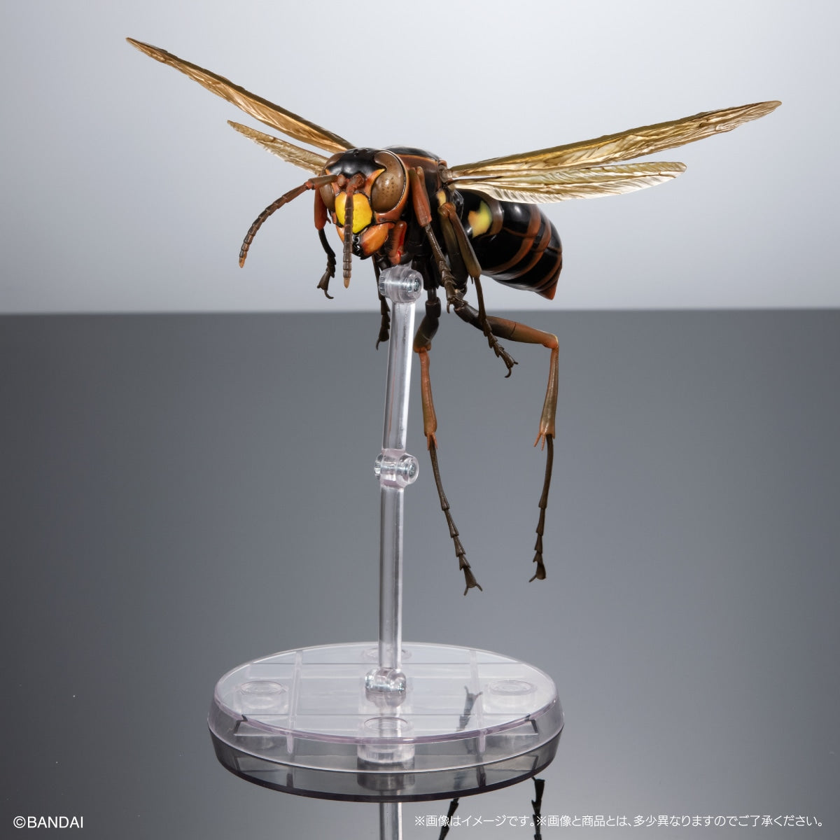 PRE-ORDER Bandai - The Diversity of Life on Earth Advance - POLISTINAE (Paper Wasp) Display Stand Set [EXCLUSIVE]