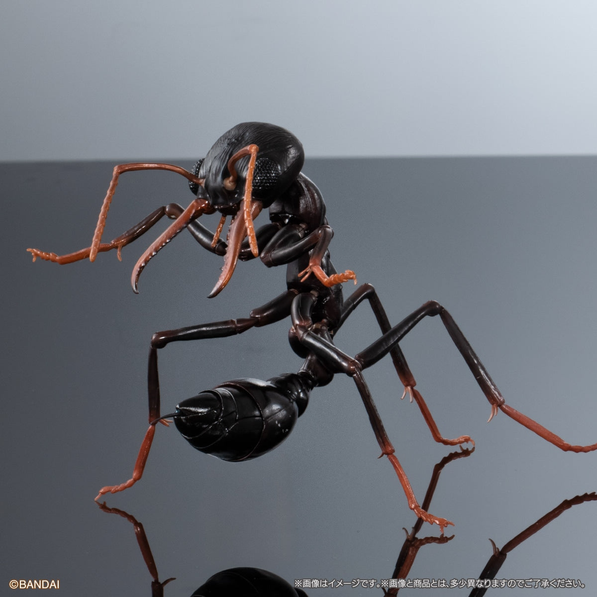 PRE-ORDER Bandai - The Diversity of Life on Earth Advance - Myrmecia (Bulldog Ant) Bark Pedestal (Medium) Set [EXCLUSIVE]