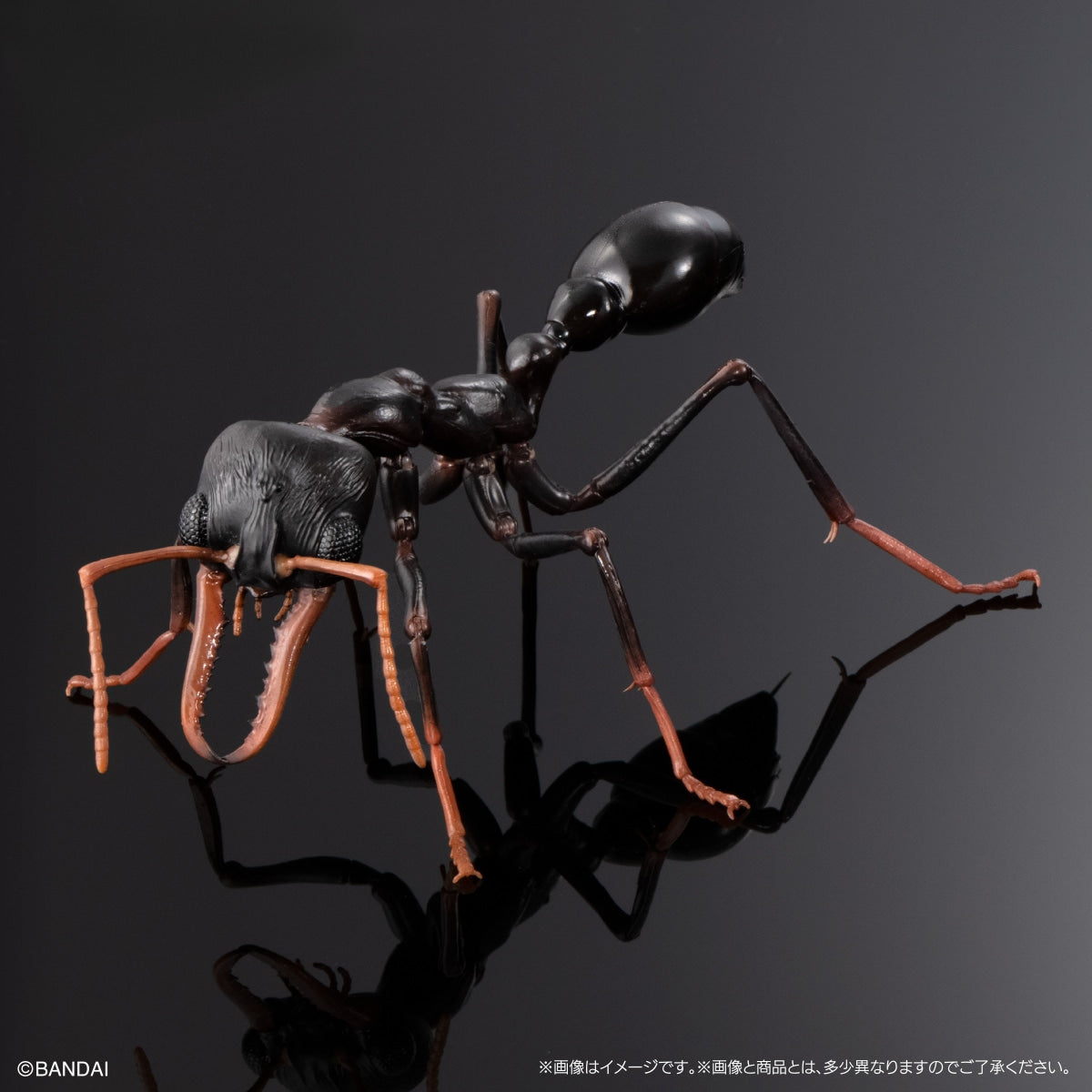 PRE-ORDER Bandai - The Diversity of Life on Earth Advance - Myrmecia (Bulldog Ant) Bark Pedestal (Medium) Set [EXCLUSIVE]