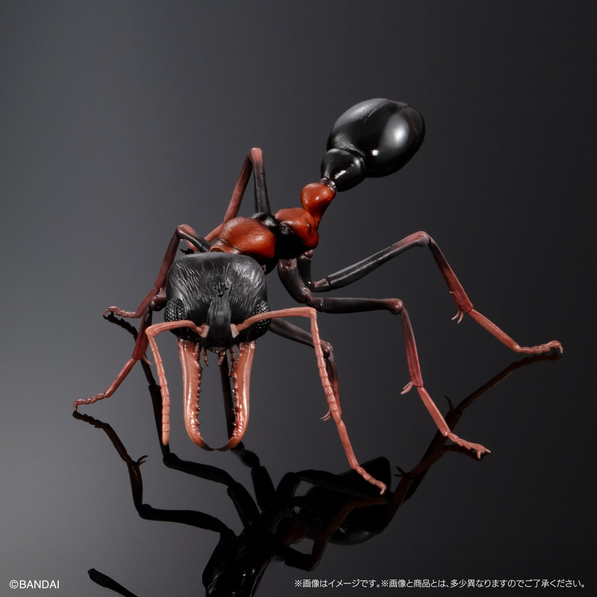 PRE-ORDER Bandai - The Diversity of Life on Earth Advance - Myrmecia (Bulldog Ant) Bark Pedestal (Medium) Set [EXCLUSIVE]