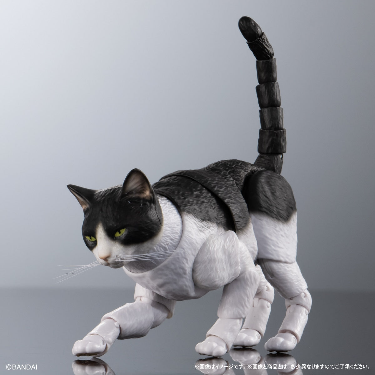 SPECIAL ORDER Bandai - The Diversity of Life on Earth Premium - Cat: Black and White [GOL EXCLUSIVE]