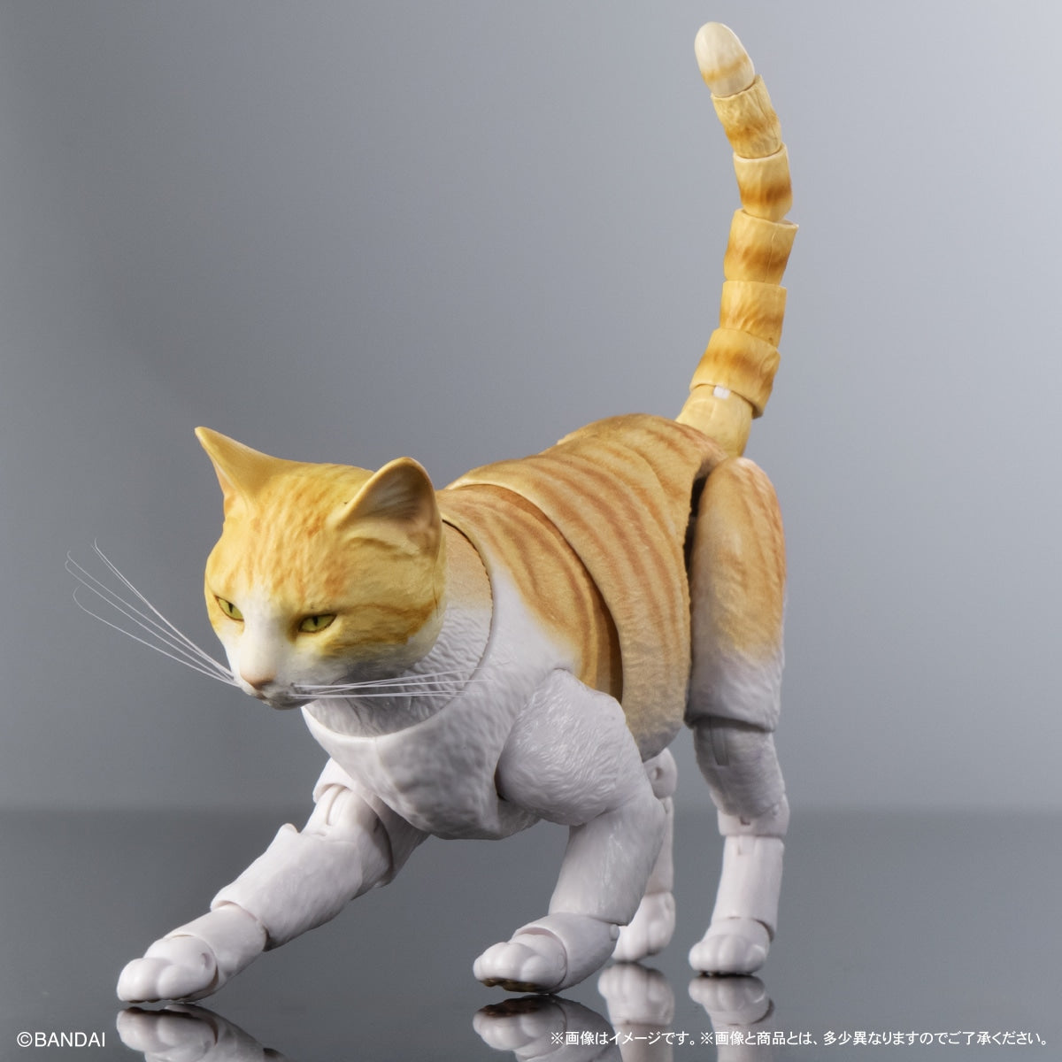 SPECIAL ORDER Bandai - The Diversity of Life on Earth Premium - Cat: Orange Tabby and White [GOL EXCLUSIVE]