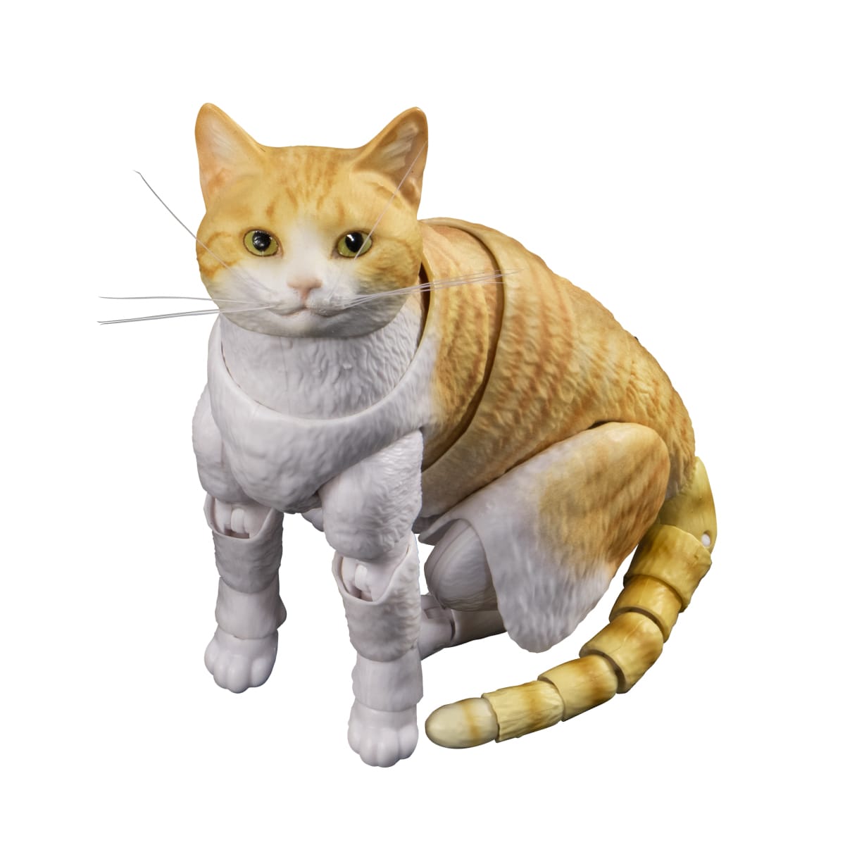 SPECIAL ORDER Bandai - The Diversity of Life on Earth Premium - Cat: Orange Tabby and White [GOL EXCLUSIVE]