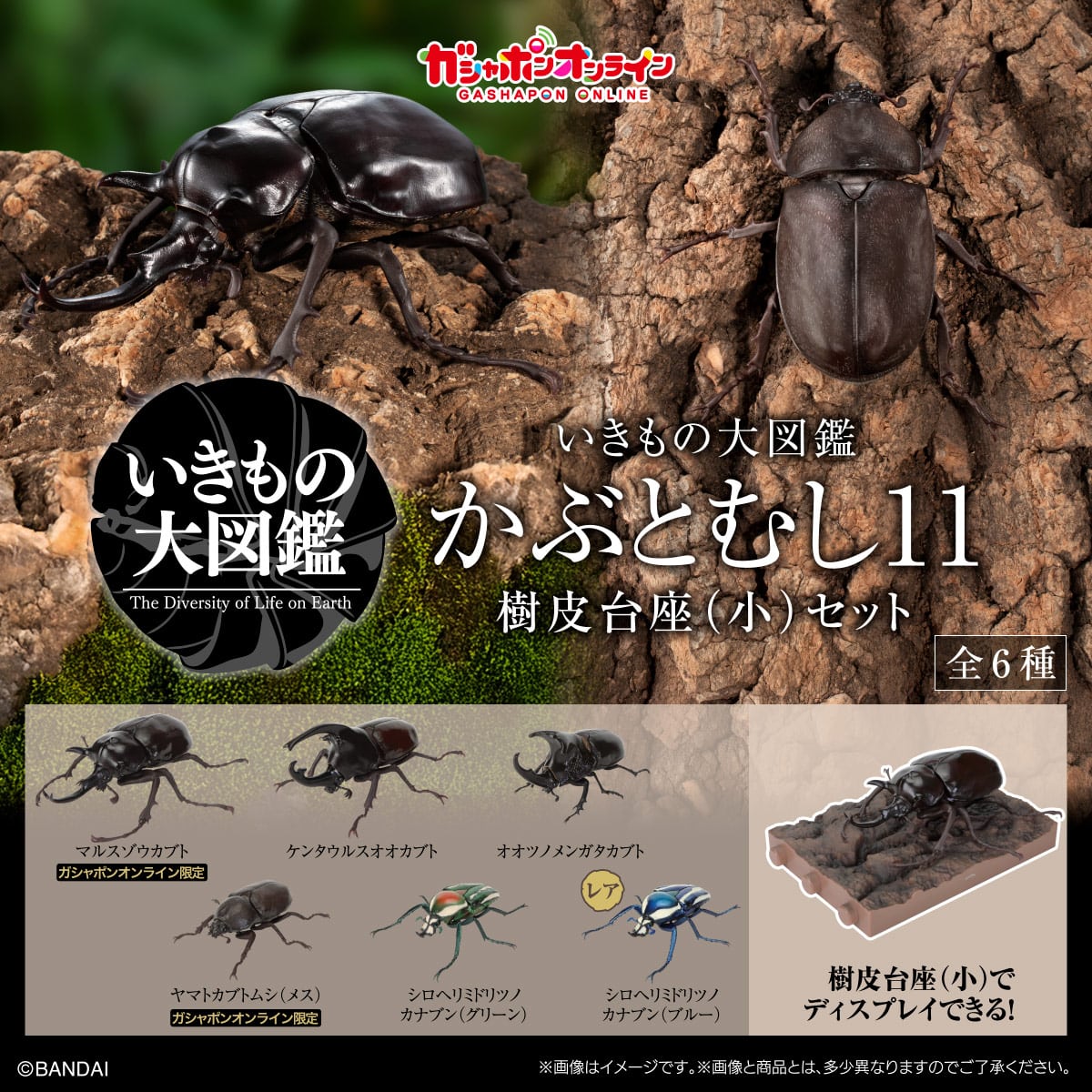 PRE-ORDER Bandai - The Diversity of Life on Earth Beetle Vol. 11 - Bark Pedestal (Small) Set [GOL EXCLUSIVE]