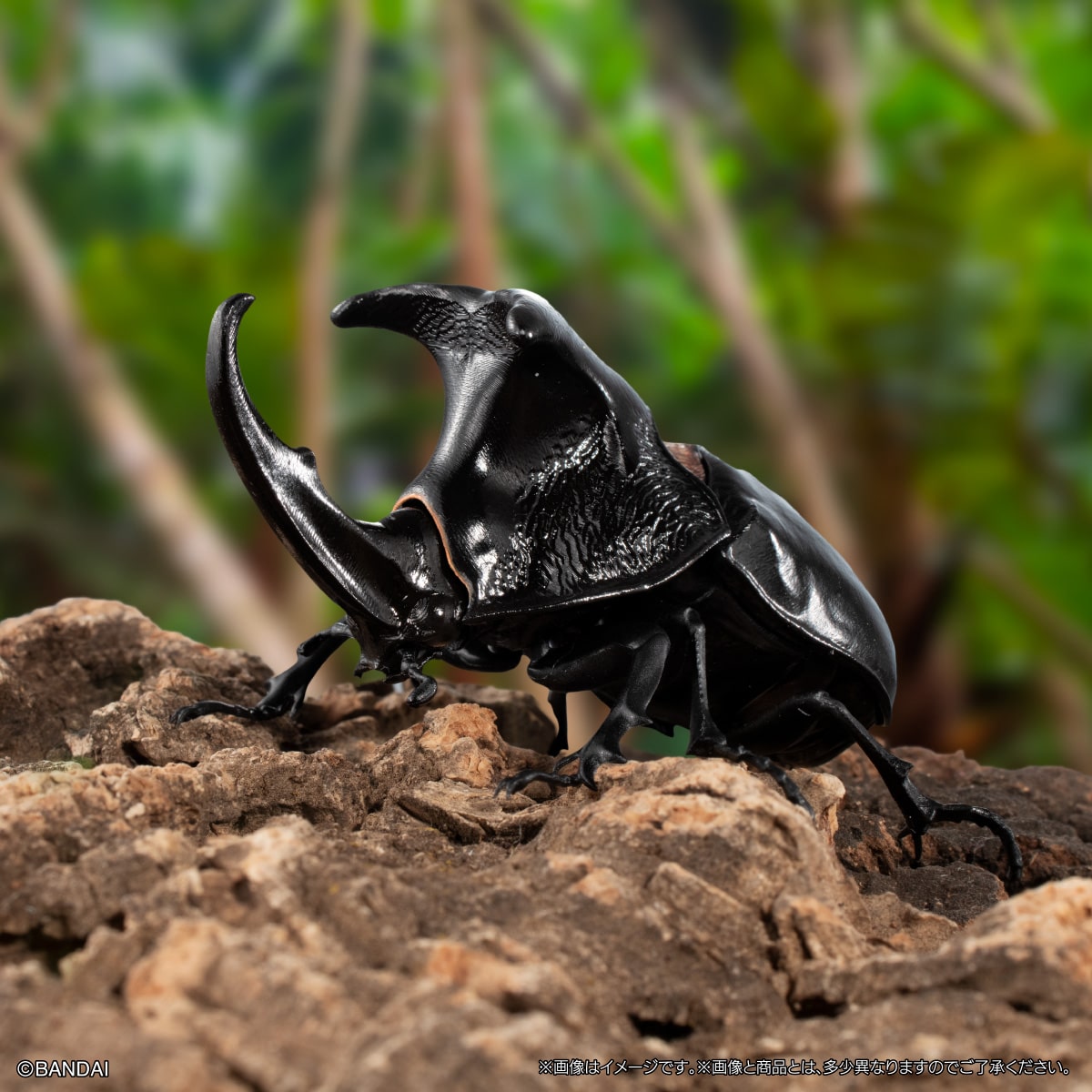 PRE-ORDER Bandai - The Diversity of Life on Earth Beetle Vol. 11 - Bark Pedestal (Small) Set [GOL EXCLUSIVE]