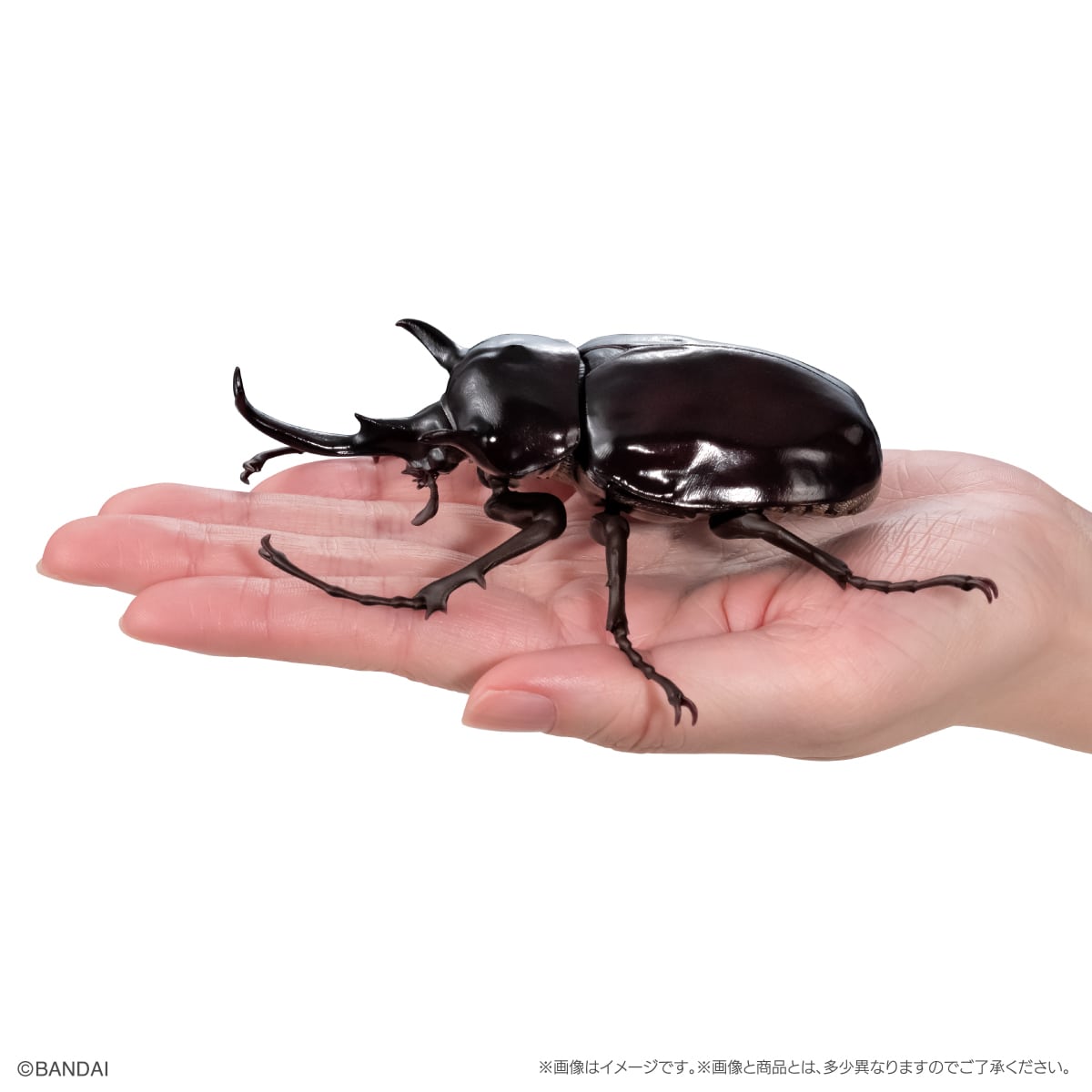 PRE-ORDER Bandai - The Diversity of Life on Earth Beetle Vol. 11 - Bark Pedestal (Small) Set [GOL EXCLUSIVE]
