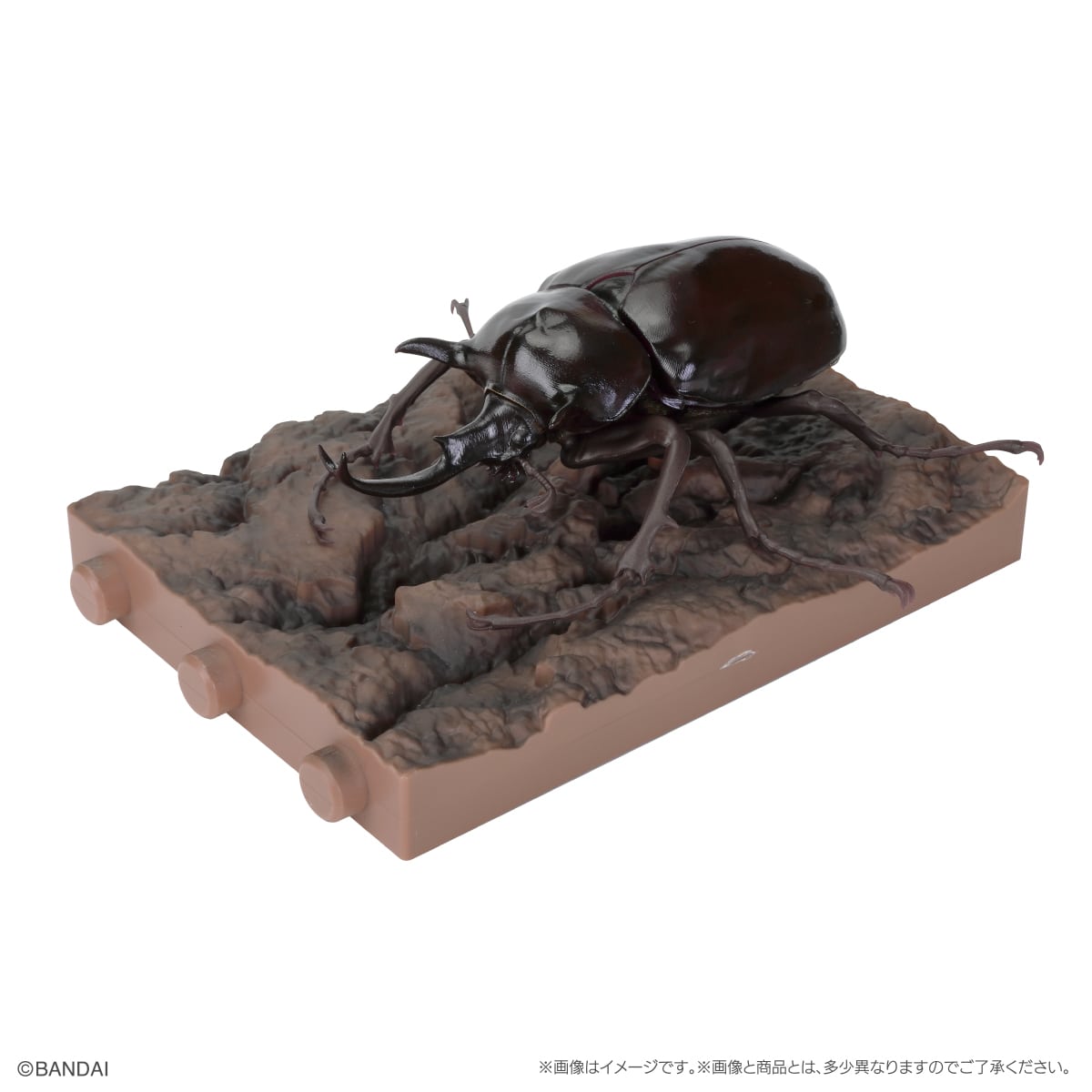 PRE-ORDER Bandai - The Diversity of Life on Earth Beetle Vol. 11 - Bark Pedestal (Small) Set [GOL EXCLUSIVE]