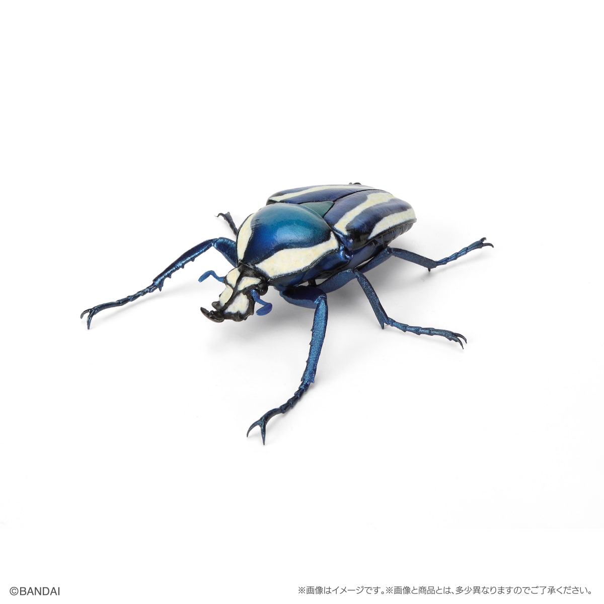 PRE-ORDER Bandai - The Diversity of Life on Earth Beetle Vol. 11 - Bark Pedestal (Small) Set [GOL EXCLUSIVE]