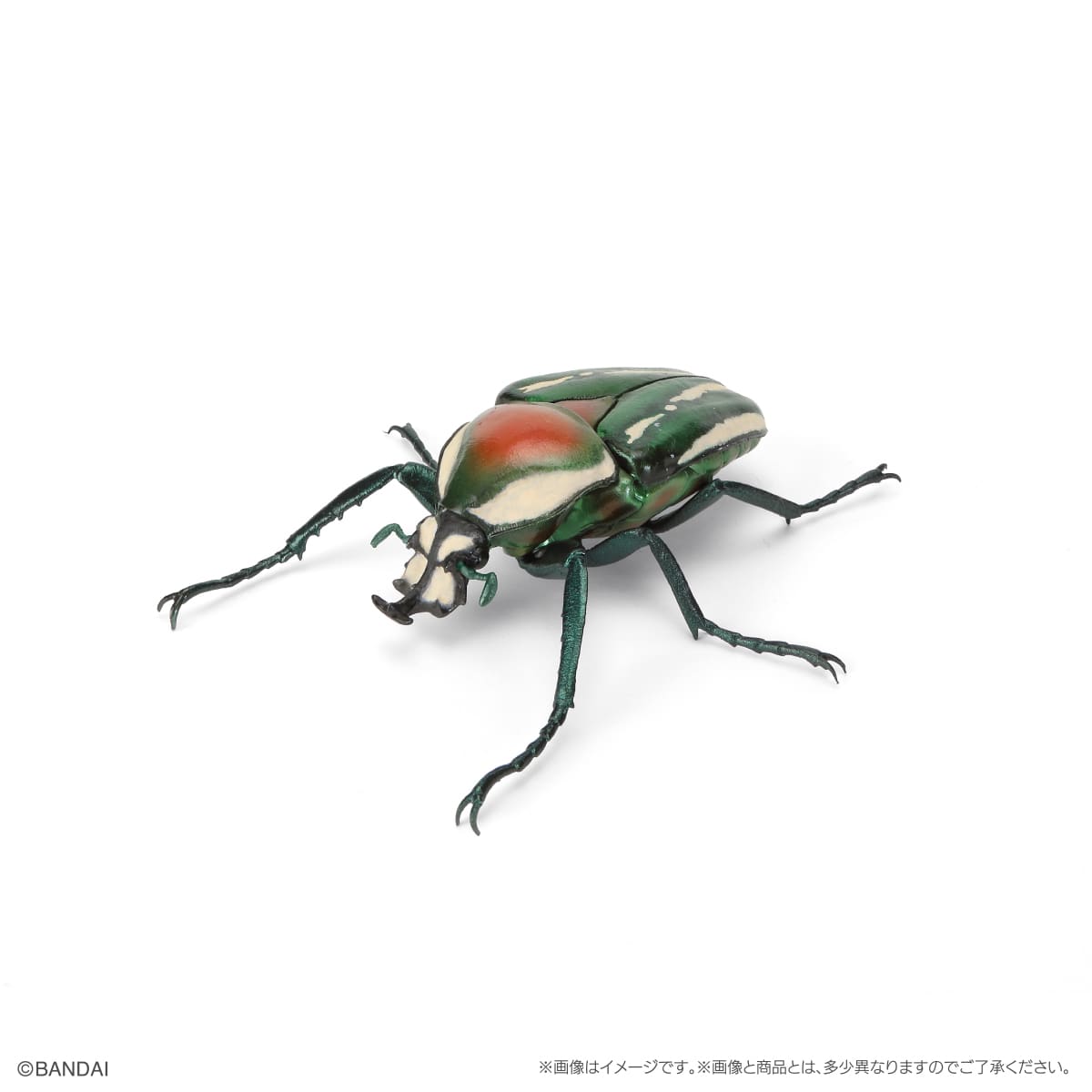 PRE-ORDER Bandai - The Diversity of Life on Earth Beetle Vol. 11 - Bark Pedestal (Small) Set [GOL EXCLUSIVE]