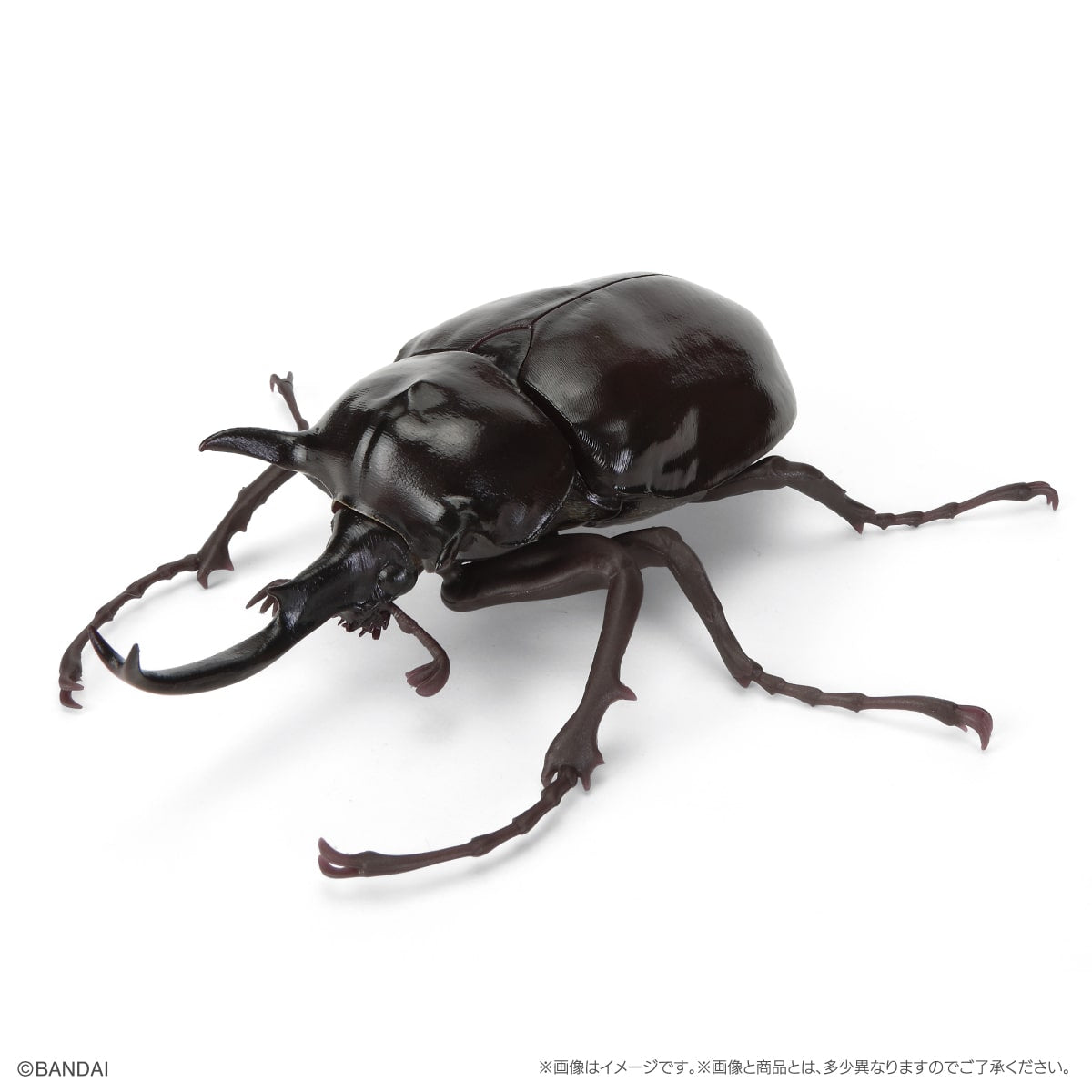 PRE-ORDER Bandai - The Diversity of Life on Earth Beetle Vol. 11 - Bark Pedestal (Small) Set [GOL EXCLUSIVE]