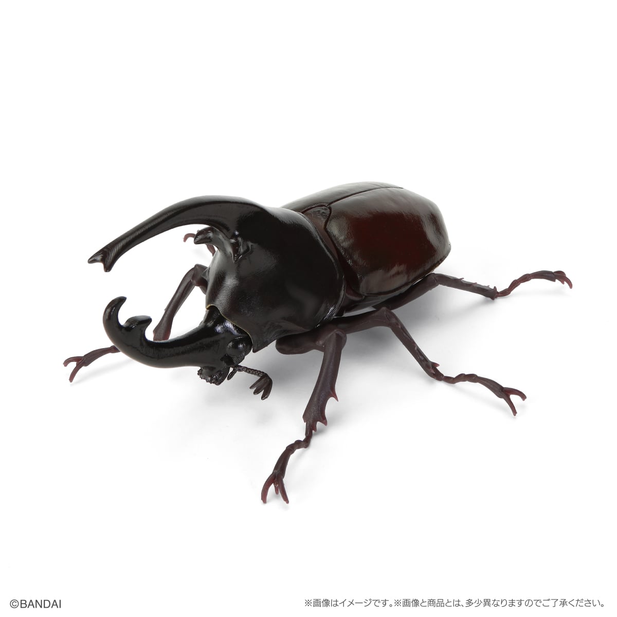 PRE-ORDER Bandai - The Diversity of Life on Earth Beetle Vol. 11 - Bark Pedestal (Small) Set [GOL EXCLUSIVE]