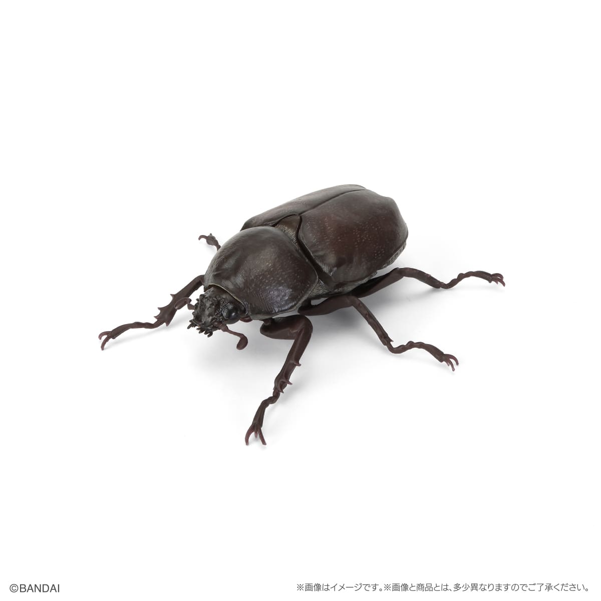 PRE-ORDER Bandai - The Diversity of Life on Earth Beetle Vol. 11 - Bark Pedestal (Small) Set [GOL EXCLUSIVE]