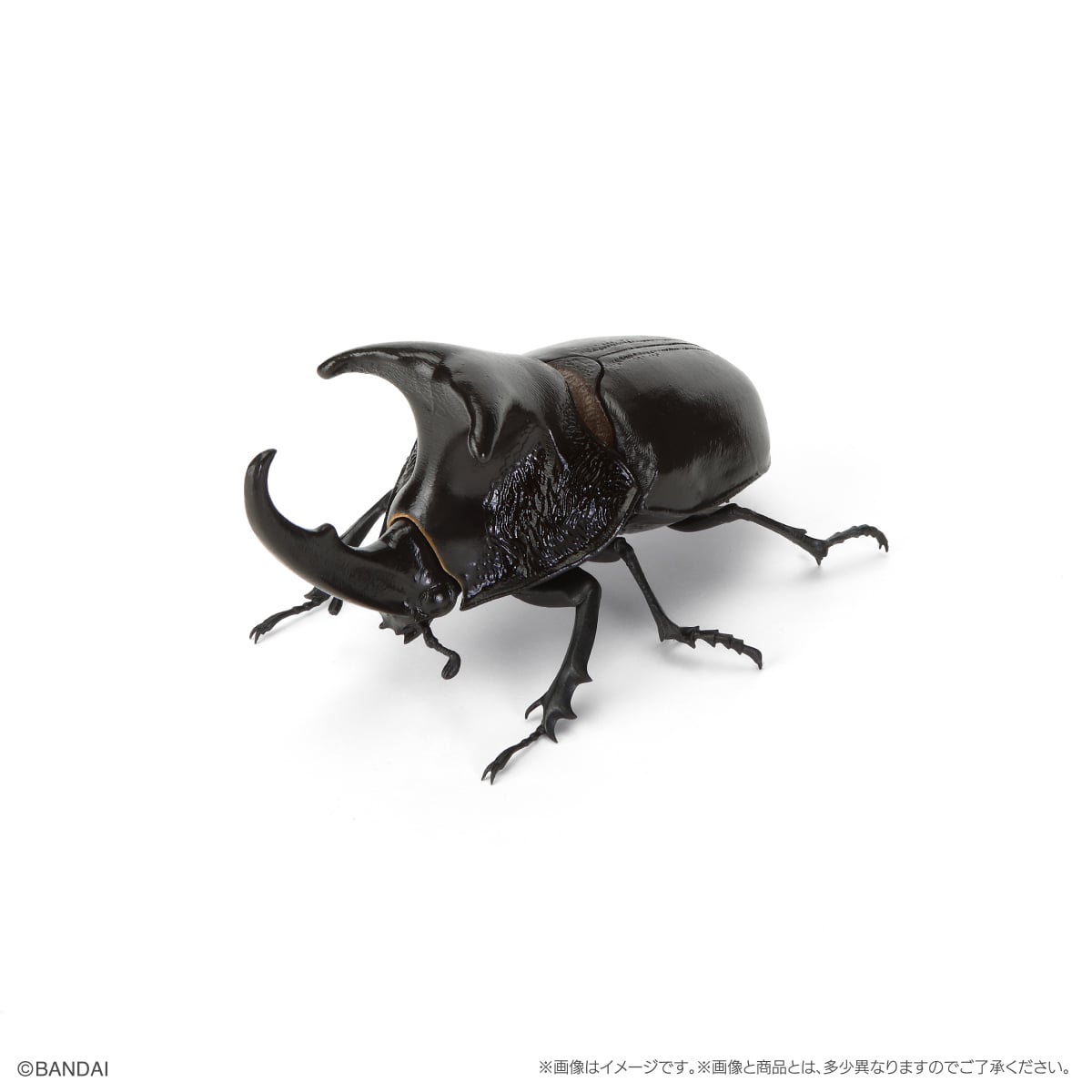 PRE-ORDER Bandai - The Diversity of Life on Earth Beetle Vol. 11 - Bark Pedestal (Small) Set [GOL EXCLUSIVE]