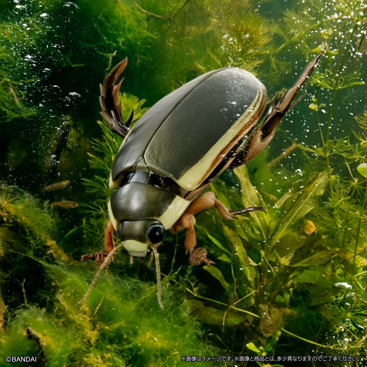 PRE-ORDER Bandai - The Diversity of Life on Earth Advance - Diving Beetle (Cybister Chinensis) Display Stand Set [GOL EXCLUSIVE]