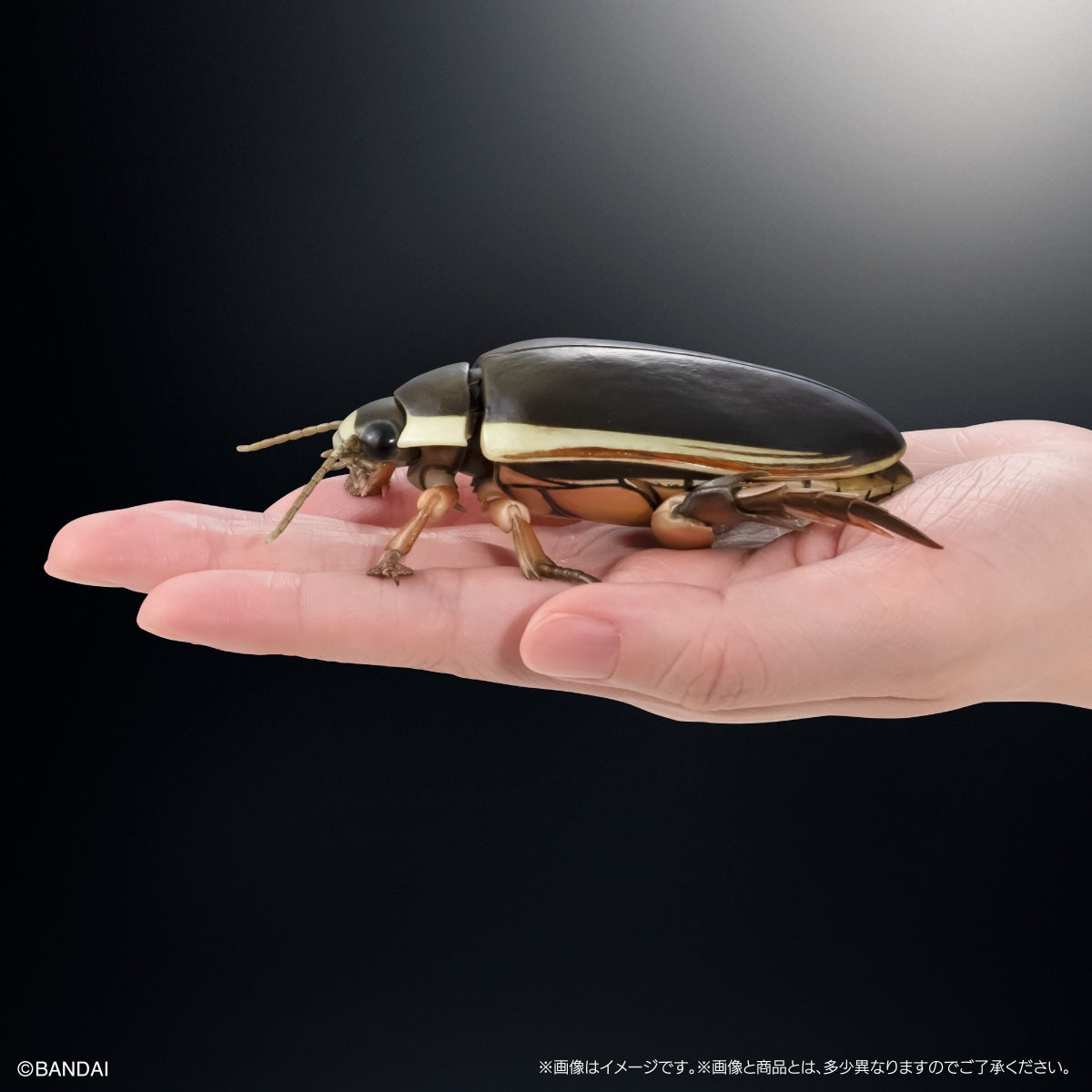 PRE-ORDER Bandai - The Diversity of Life on Earth Advance - Diving Beetle (Cybister Chinensis) Display Stand Set [GOL EXCLUSIVE]