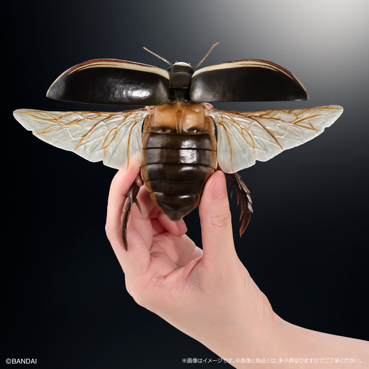 PRE-ORDER Bandai - The Diversity of Life on Earth Advance - Diving Beetle (Cybister Chinensis) Display Stand Set [GOL EXCLUSIVE]