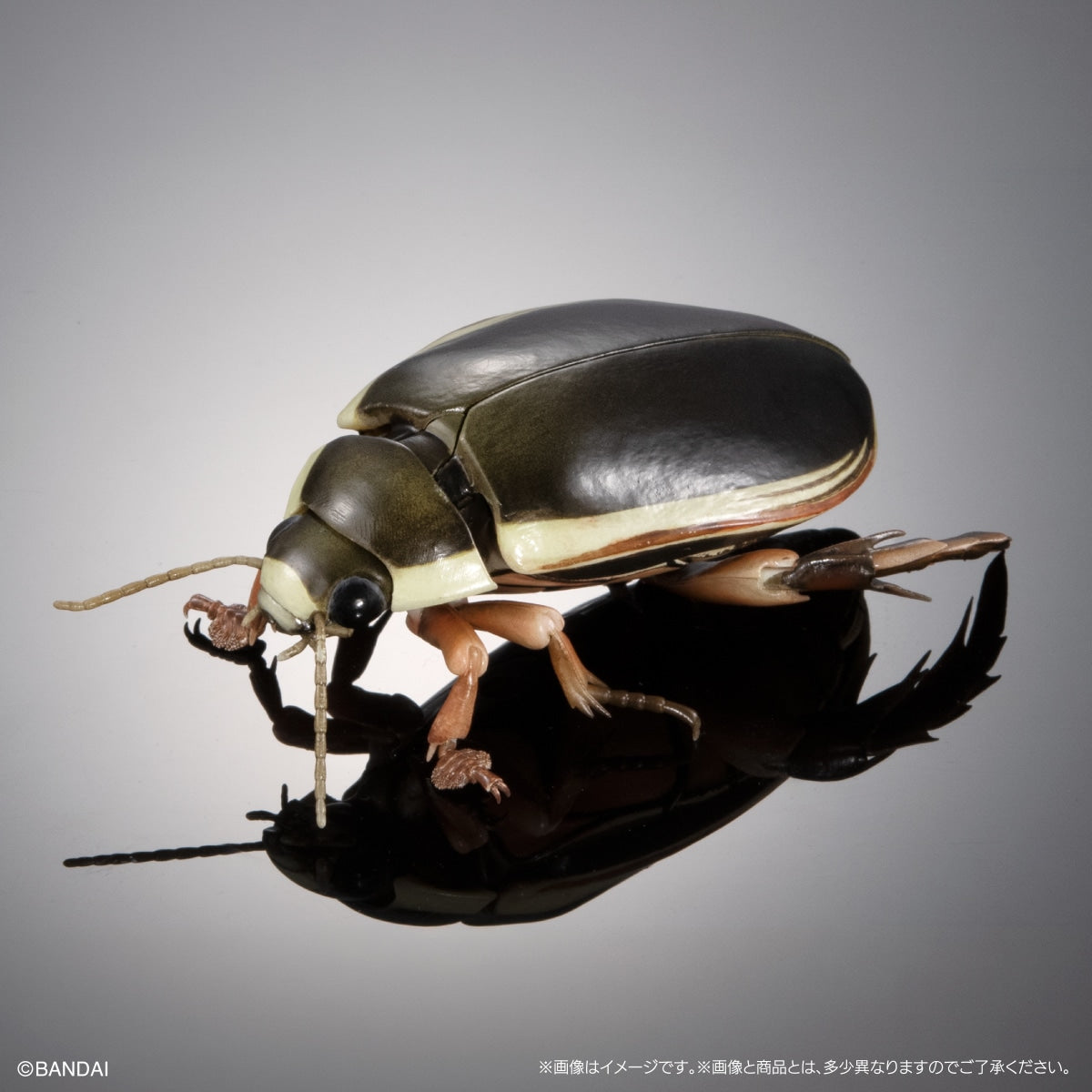 PRE-ORDER Bandai - The Diversity of Life on Earth Advance - Diving Beetle (Cybister Chinensis) Display Stand Set [GOL EXCLUSIVE]