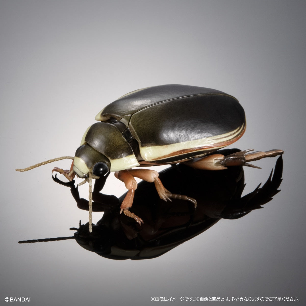 PRE-ORDER Bandai - The Diversity of Life on Earth Advance - Diving Beetle (Cybister Chinensis) Display Stand Set [GOL EXCLUSIVE]