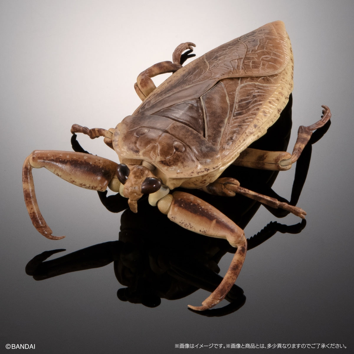 PRE-ORDER Bandai - The Diversity of Life on Earth Advance - Diving Beetle (Cybister Chinensis) Display Stand Set [GOL EXCLUSIVE]