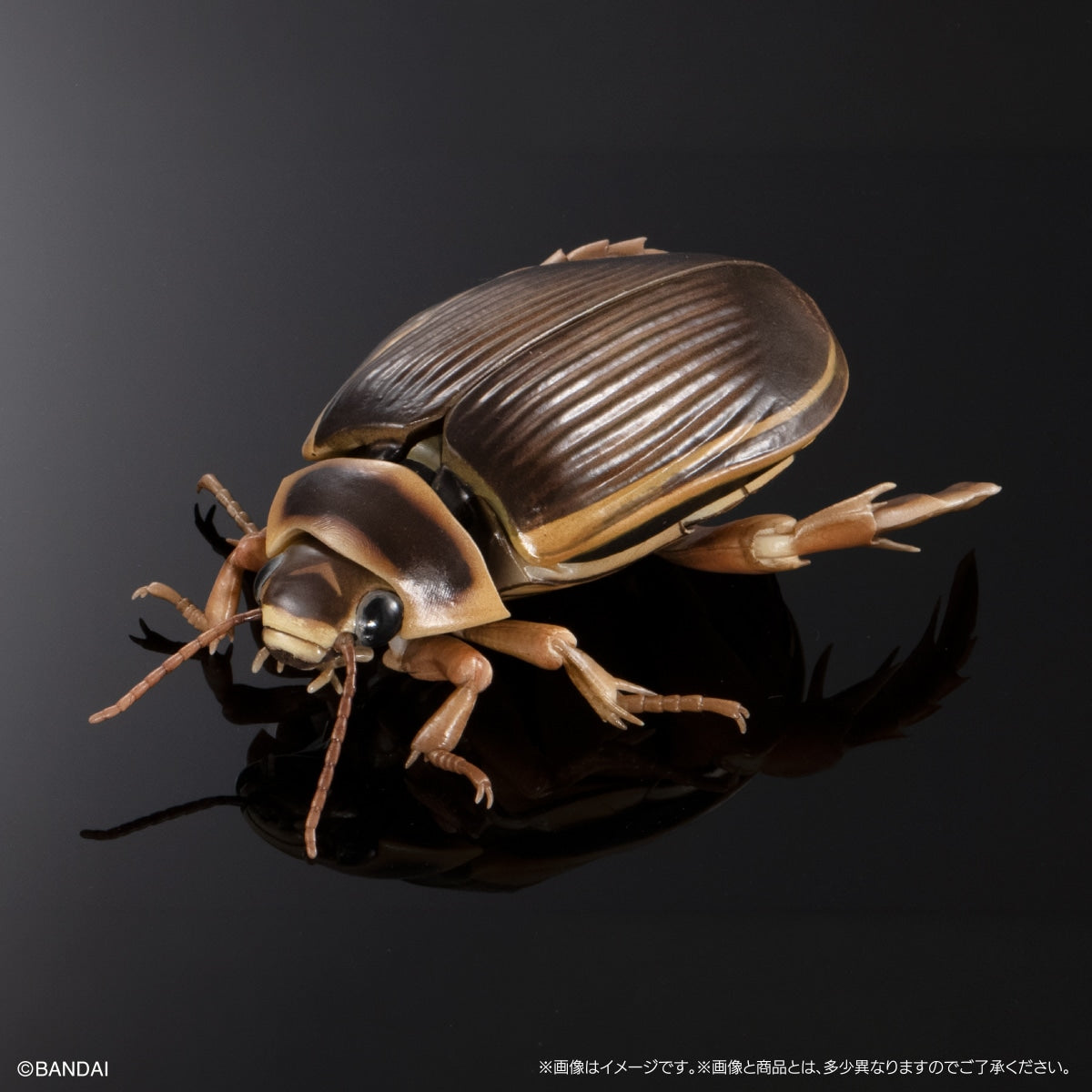 PRE-ORDER Bandai - The Diversity of Life on Earth Advance - Diving Beetle (Cybister Chinensis) Display Stand Set [GOL EXCLUSIVE]